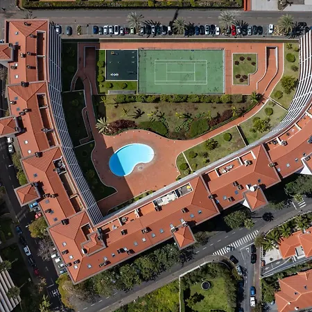 Camelia's Ii By An Island *