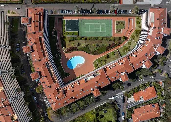 Camélia's Ii By An Island *